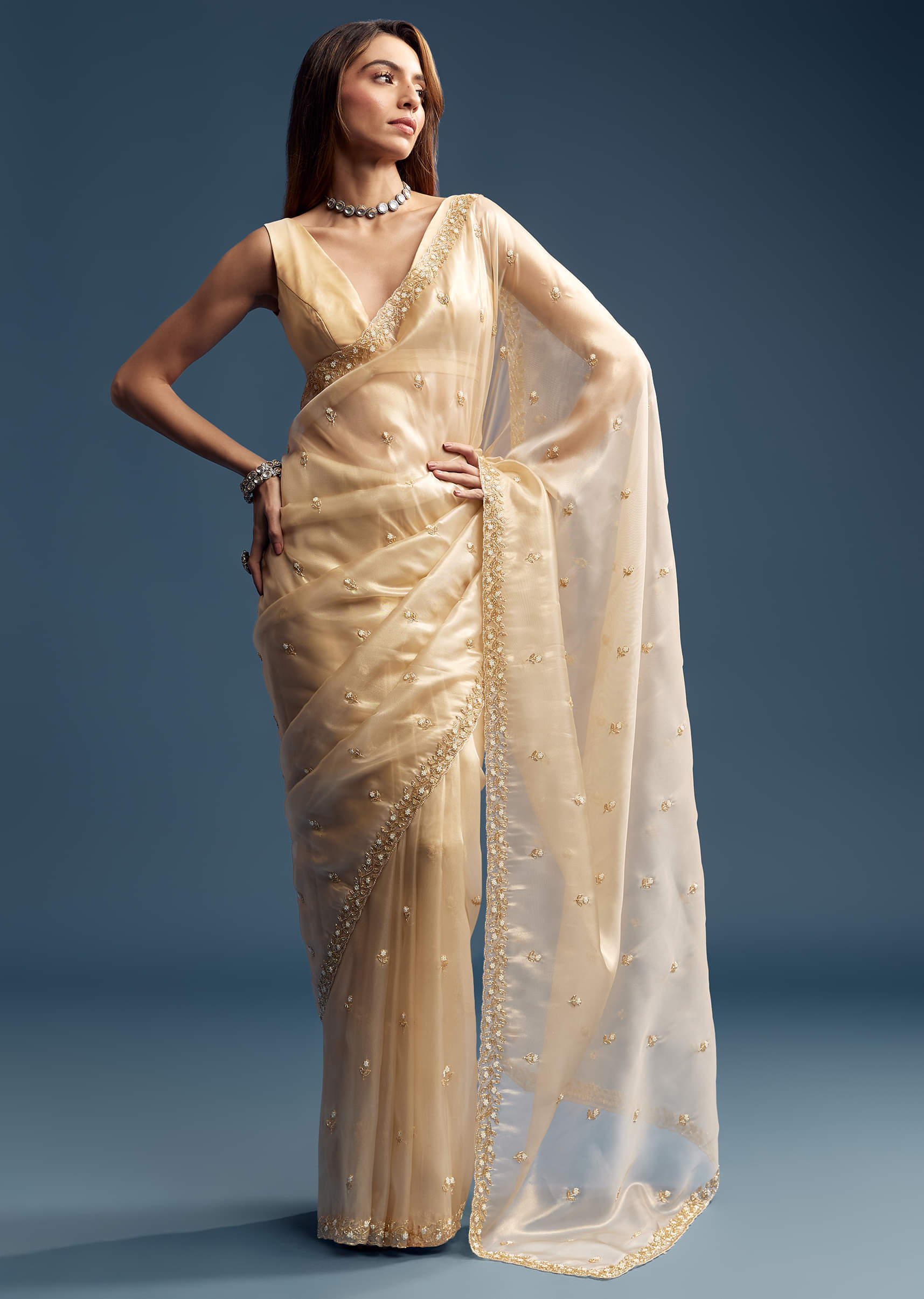 Beige Tissue Saree With Vine And Floral Embroidery